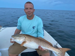 Huge Redfish: Morehead City's Bounty!